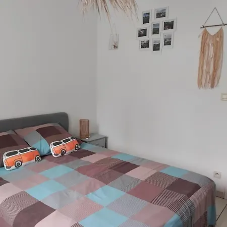 Maison Spacieuse Avec Piscine Et Jardin Hourtin