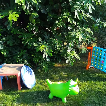 Maison Spacieuse Avec Piscine Et Jardin Hourtin