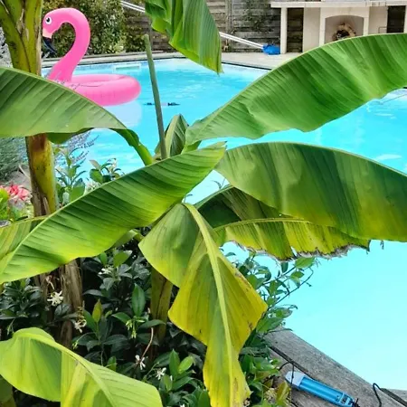Maison Spacieuse Avec Piscine Et Jardin *