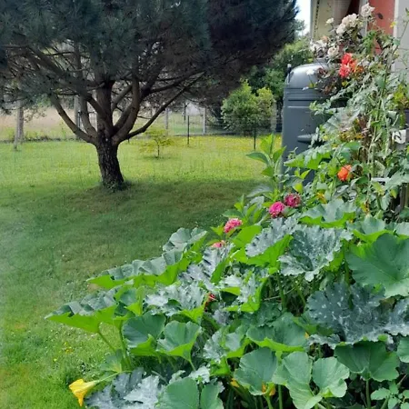 Maison Spacieuse Avec Piscine Et Jardin *
