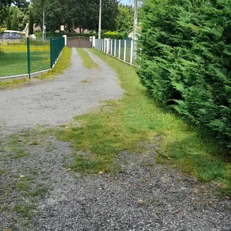 Maison Spacieuse Avec Piscine Et Jardin Tatil Evi Hourtin