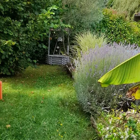 Maison Spacieuse Avec Piscine Et Jardin